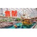 團購優惠 - 水上樂園 & Galaxyland @ WEM